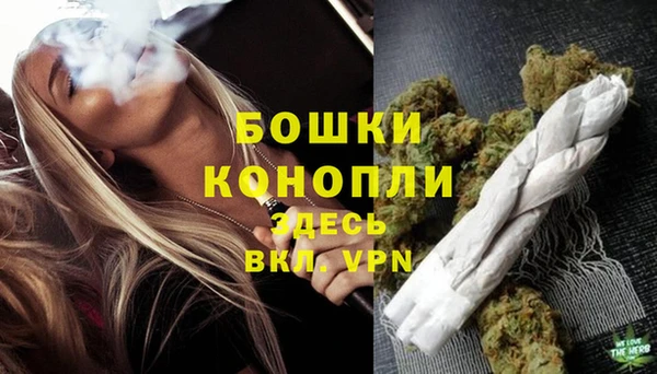 соль курить ск Дмитриев