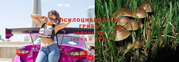 бошки Абаза
