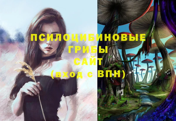 бошки Абаза
