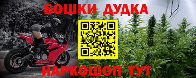 шишки Абинск