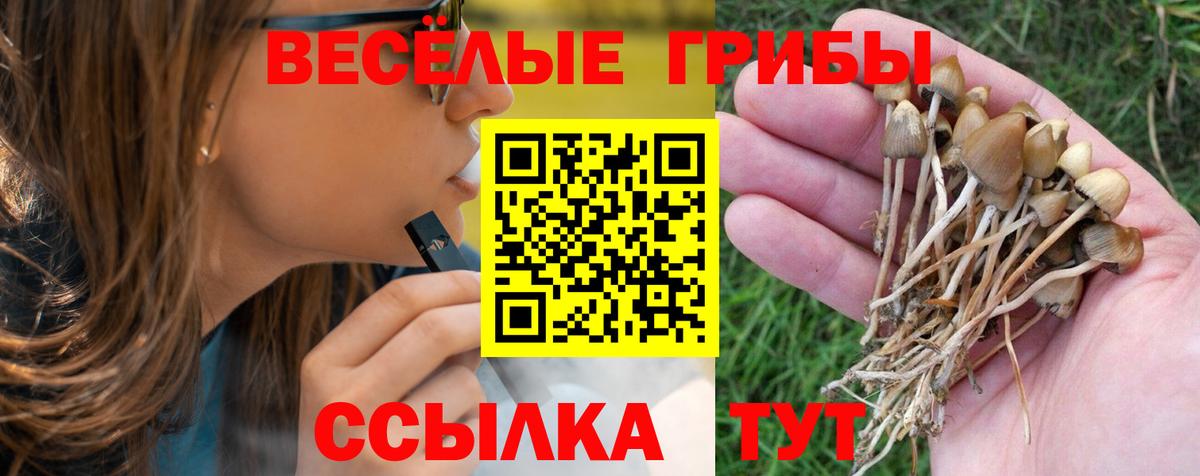 Псилоцибиновые грибы MAGIC MUSHROOMS  цена наркотик  Псилоцибиновые грибы ЛСД  Алейск  Вход с VPN 