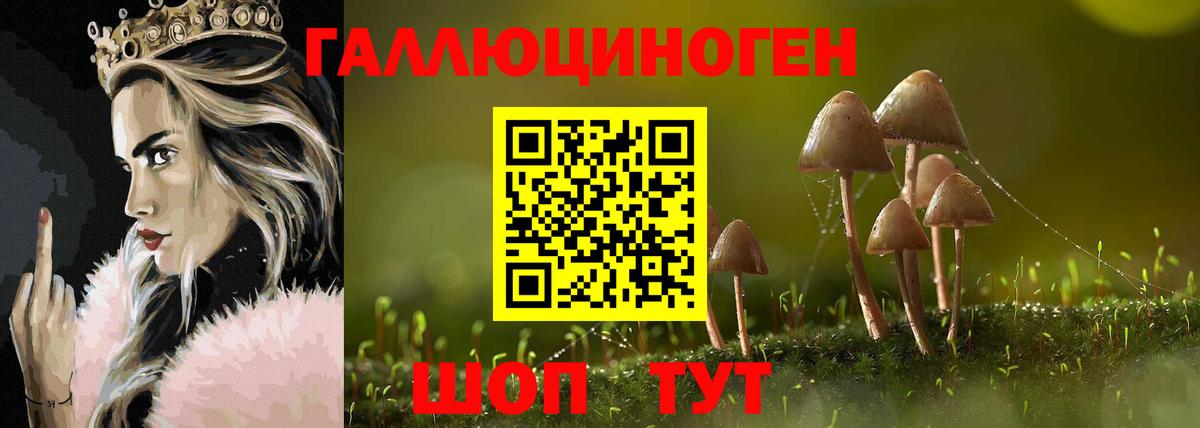 Псилоцибиновые грибы Psilocybine cubensis Алейск