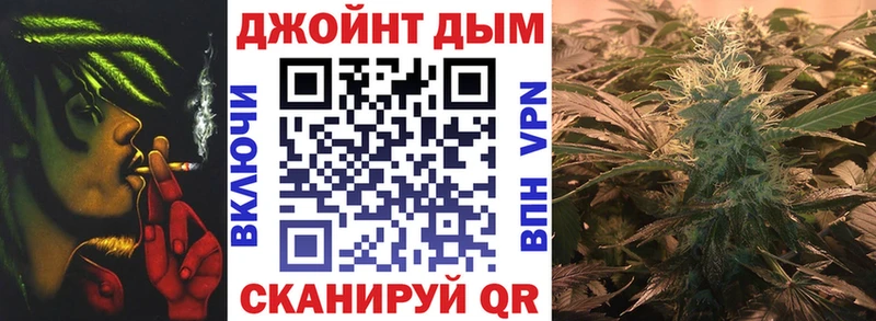 Канабис SATIVA & INDICA Алейск